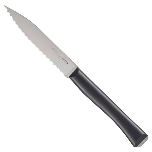 opinel-intempora-no-226-serrated-paring-knife-4-inch-full-tang-12c27-stainless-s image 1