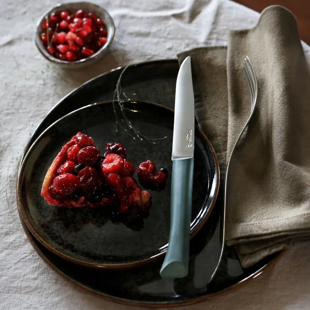 opinel-bon-app-tit-steak-knife-red-polymer-handle-micro-serrated-dishwasher-safe image 1