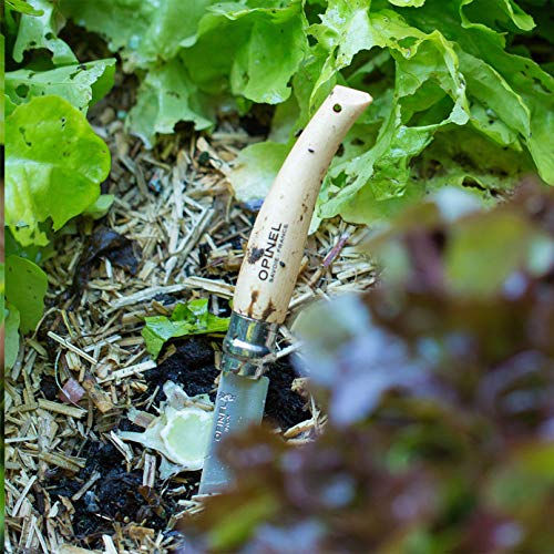 opinel-no-8-boxed-garden-knife-8-5-cm-sandvik-12c27-stainless-blade-beechwood-ha image 5