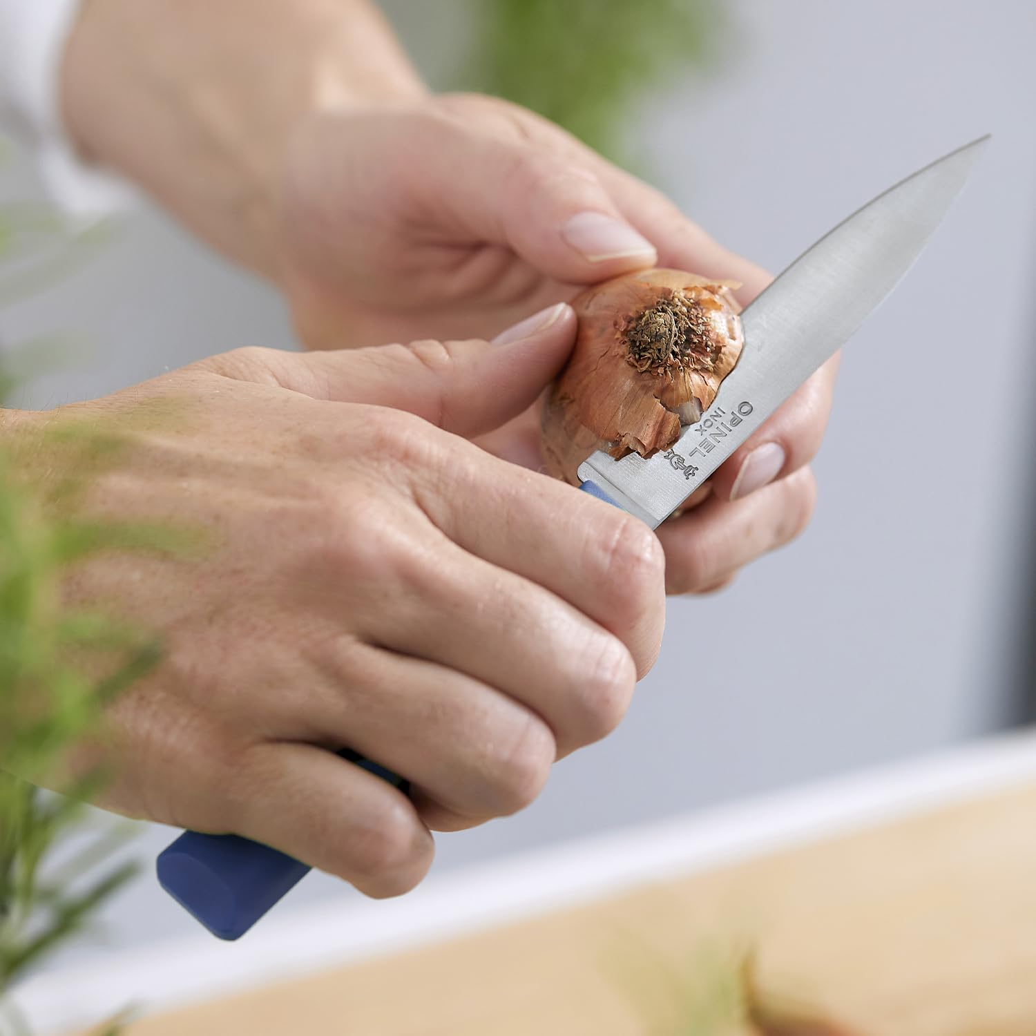 opinel-les-essentials-no-312-paring-knife-4-sandvik-stainless-straight-edge-dish image 5