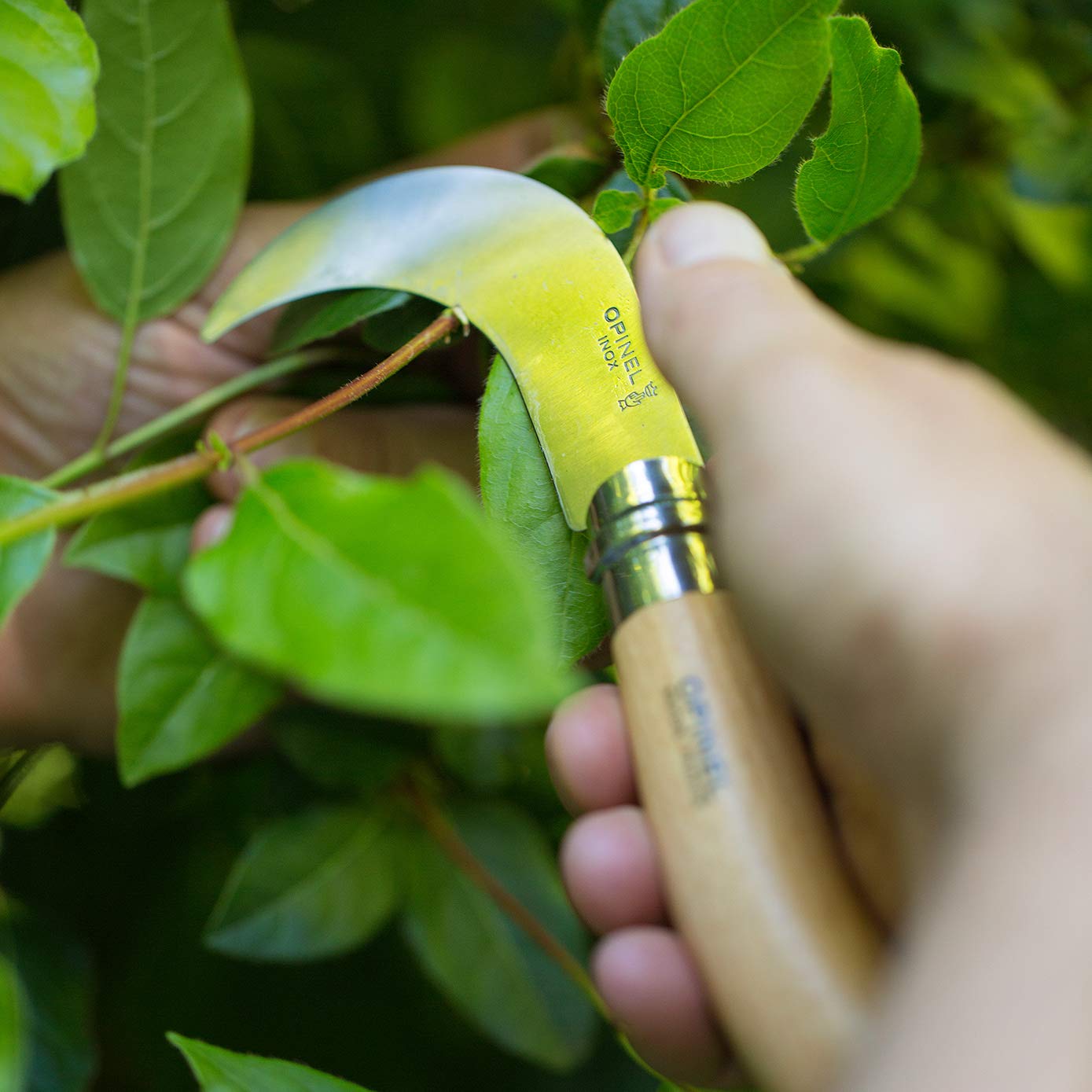 opinel-no-8-pruning-folding-knife-curved-stainless-blade-beechwood-handle-virobl image 8