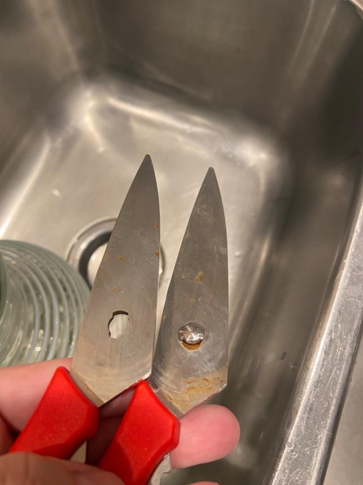 Snip snip