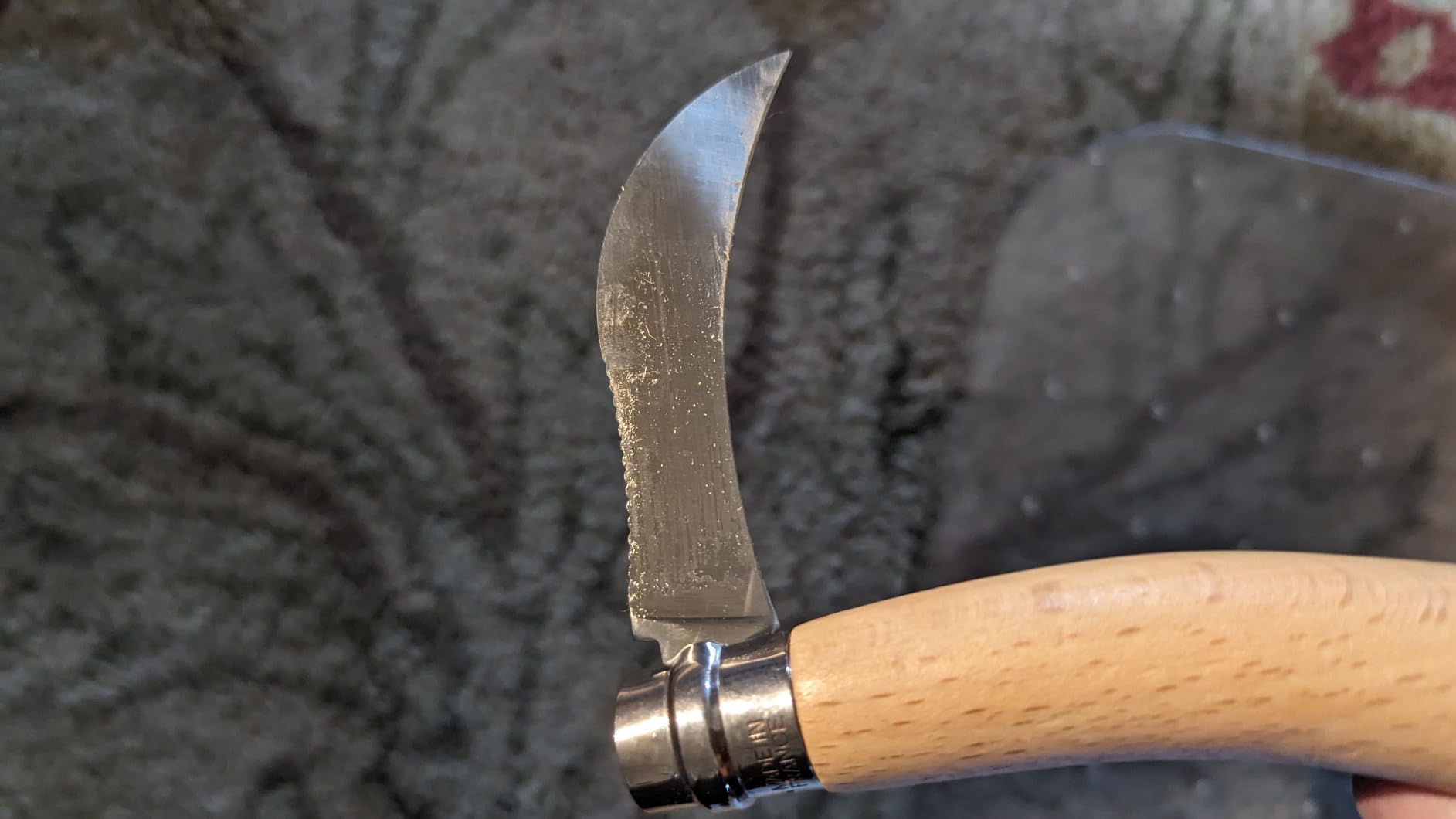 Mushroom hunting essential
