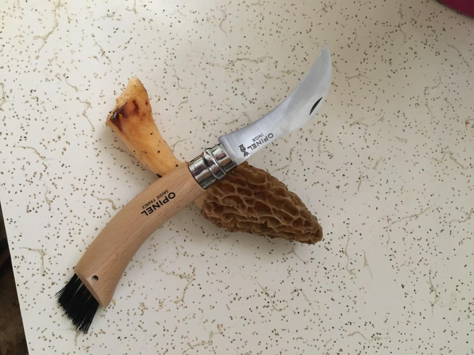Handy but small
