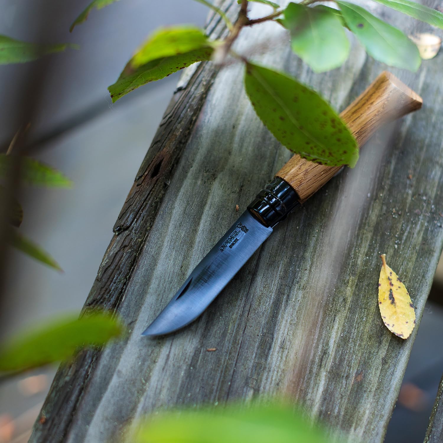 opinel-no-08-stainless-steel-folding-pocket-knife-black-oak-handle-with-black-co image 7