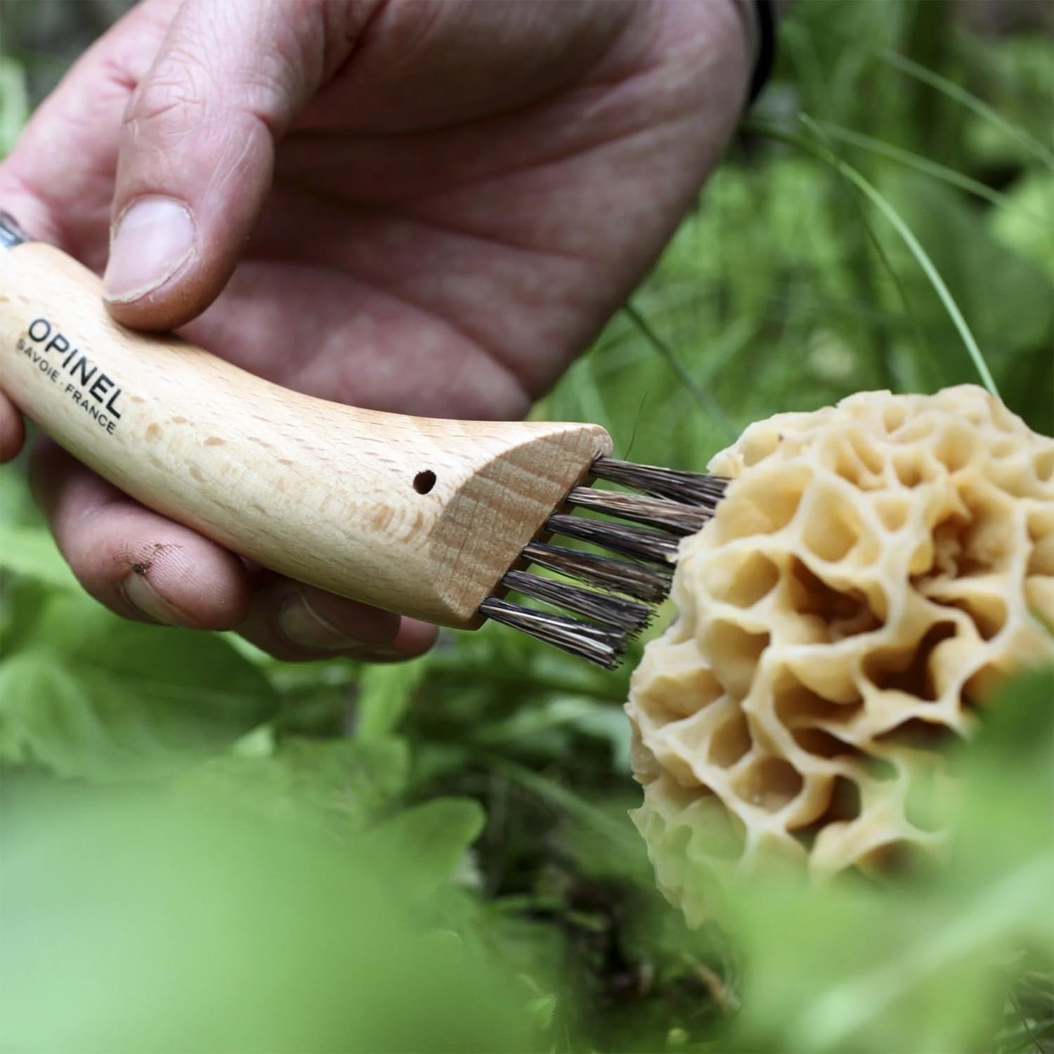 opinel-no-08-mushroom-knife-curved-sandvik-stainless-blade-beechwood-handle-with image 5