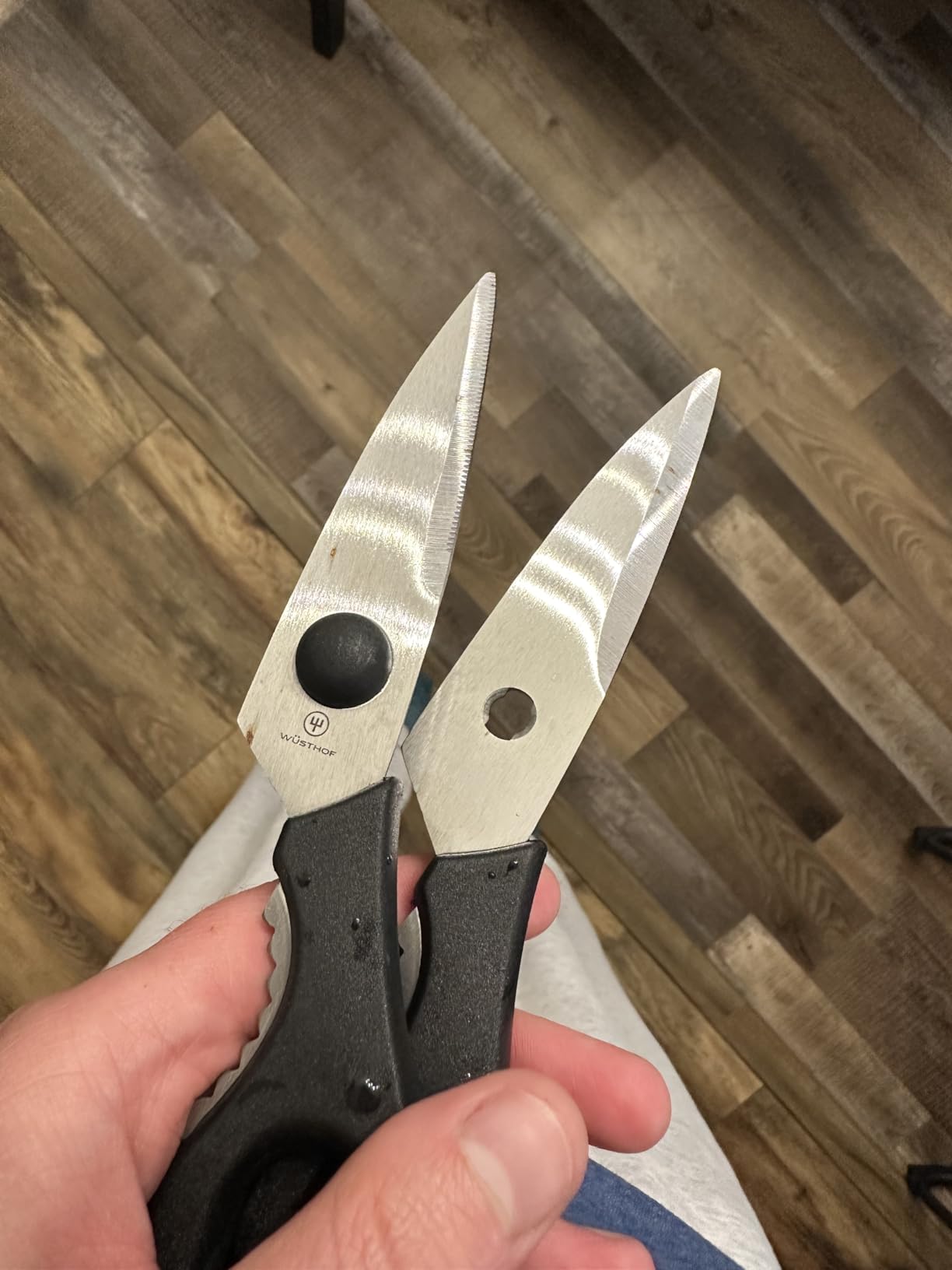 Upgraded from cheap shears