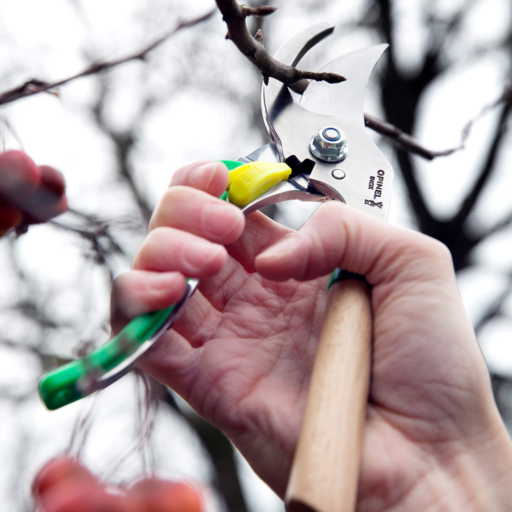 opinel-hand-pruning-shears-with-3-position-lock-20mm-bypass-stainless-steel-blad image 8