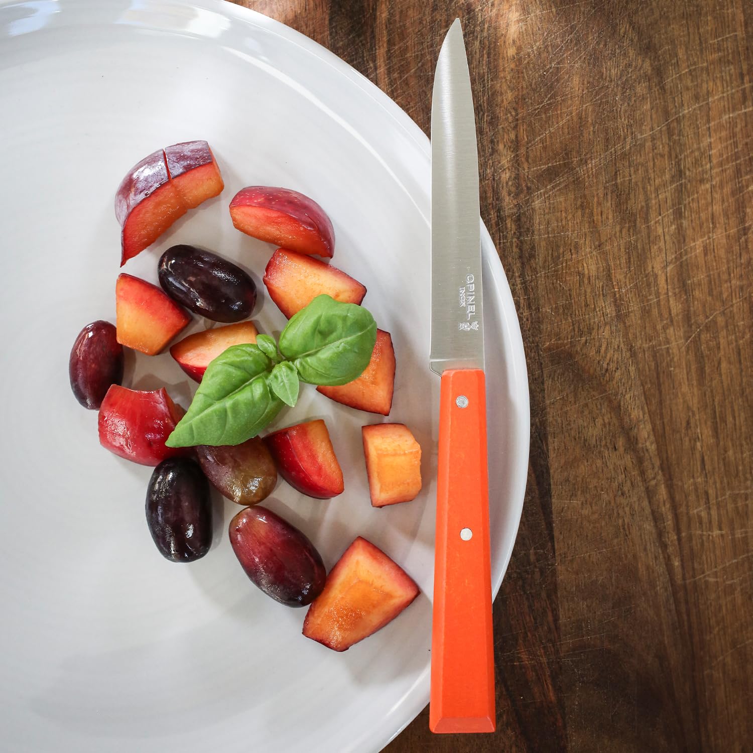 opinel-no-125-bon-appetit-steak-knife-set-of-4-painted-hornbeam-handles-12c27-st image 5