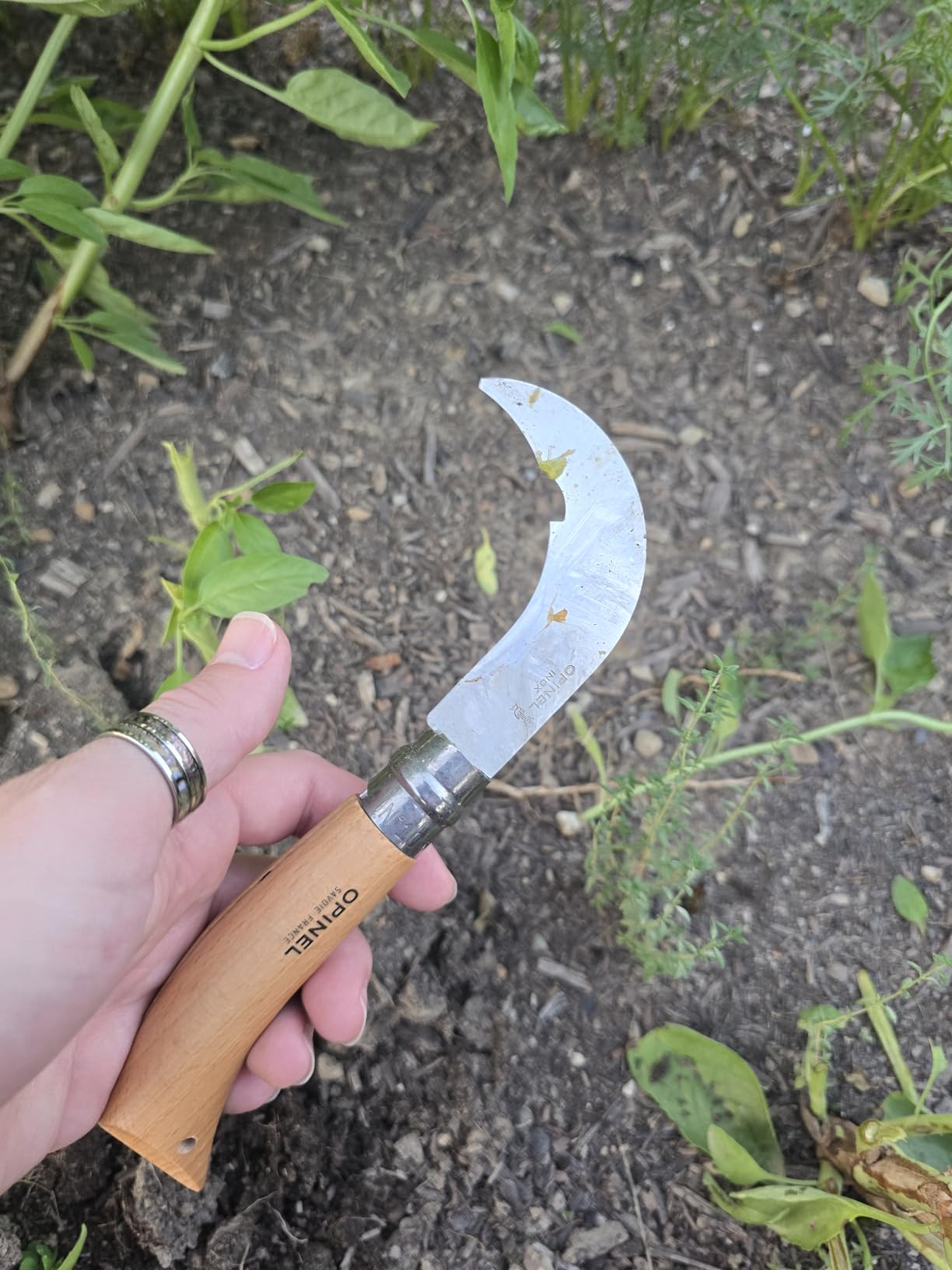 My go-to for the orchard