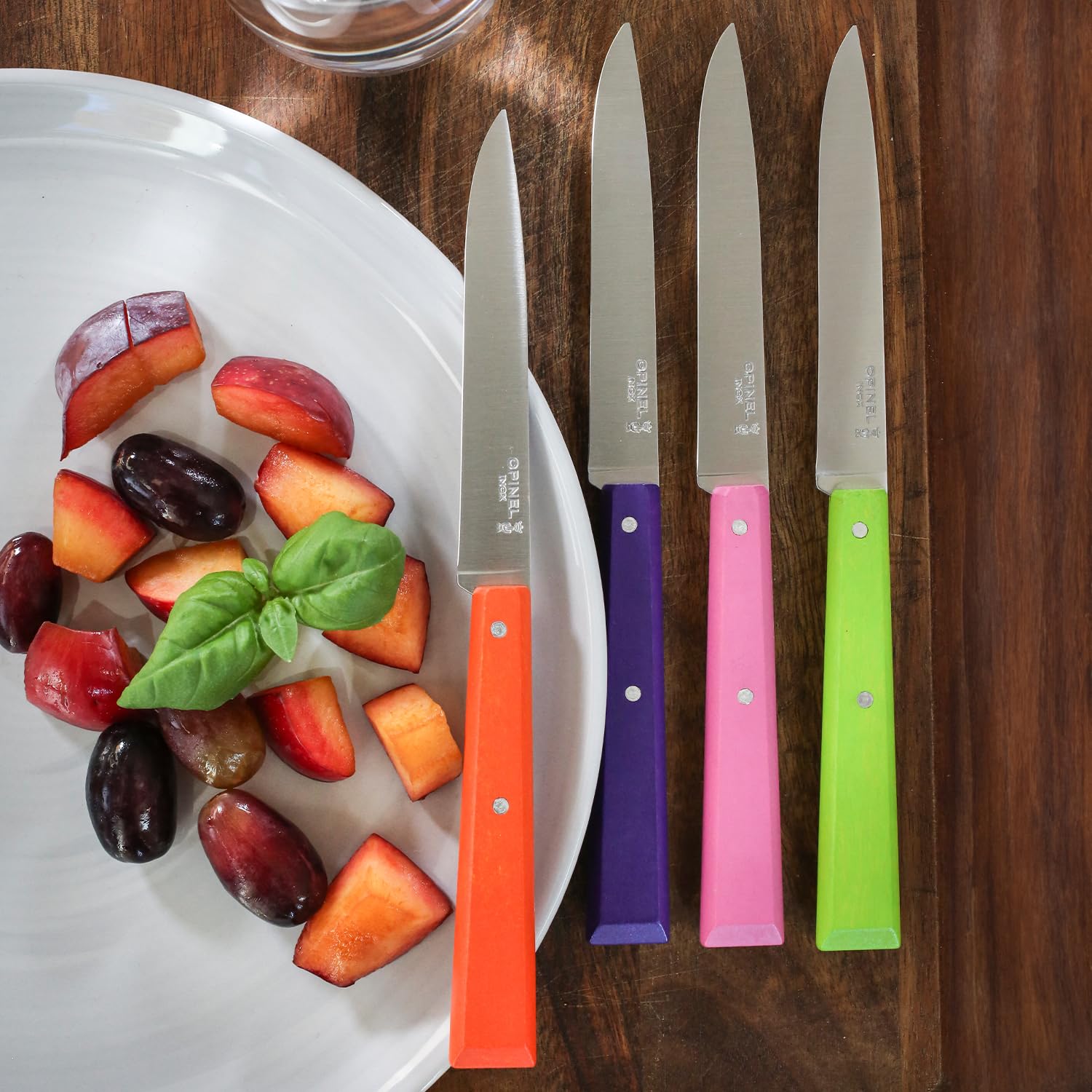 opinel-no-125-bon-appetit-steak-knife-set-of-4-painted-hornbeam-handles-12c27-st image 3