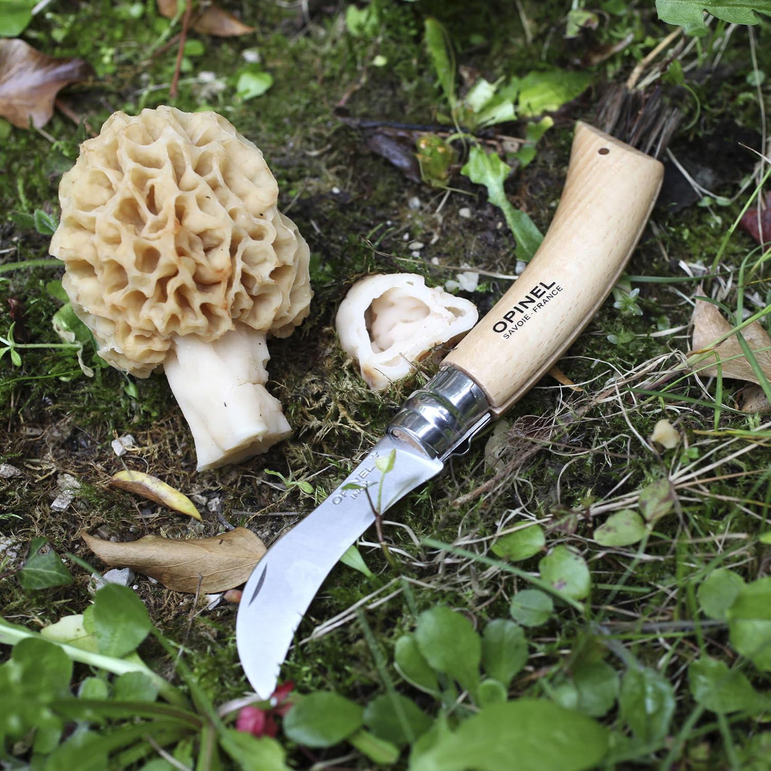 opinel-no-08-mushroom-knife-curved-sandvik-stainless-blade-beechwood-handle-with image 7