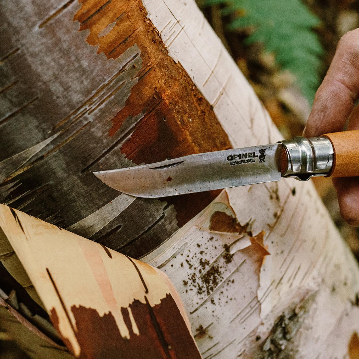 opinel-no-08-carbone-carbon-steel-folding-pocket-knife-with-beechwood-handle-and image 5