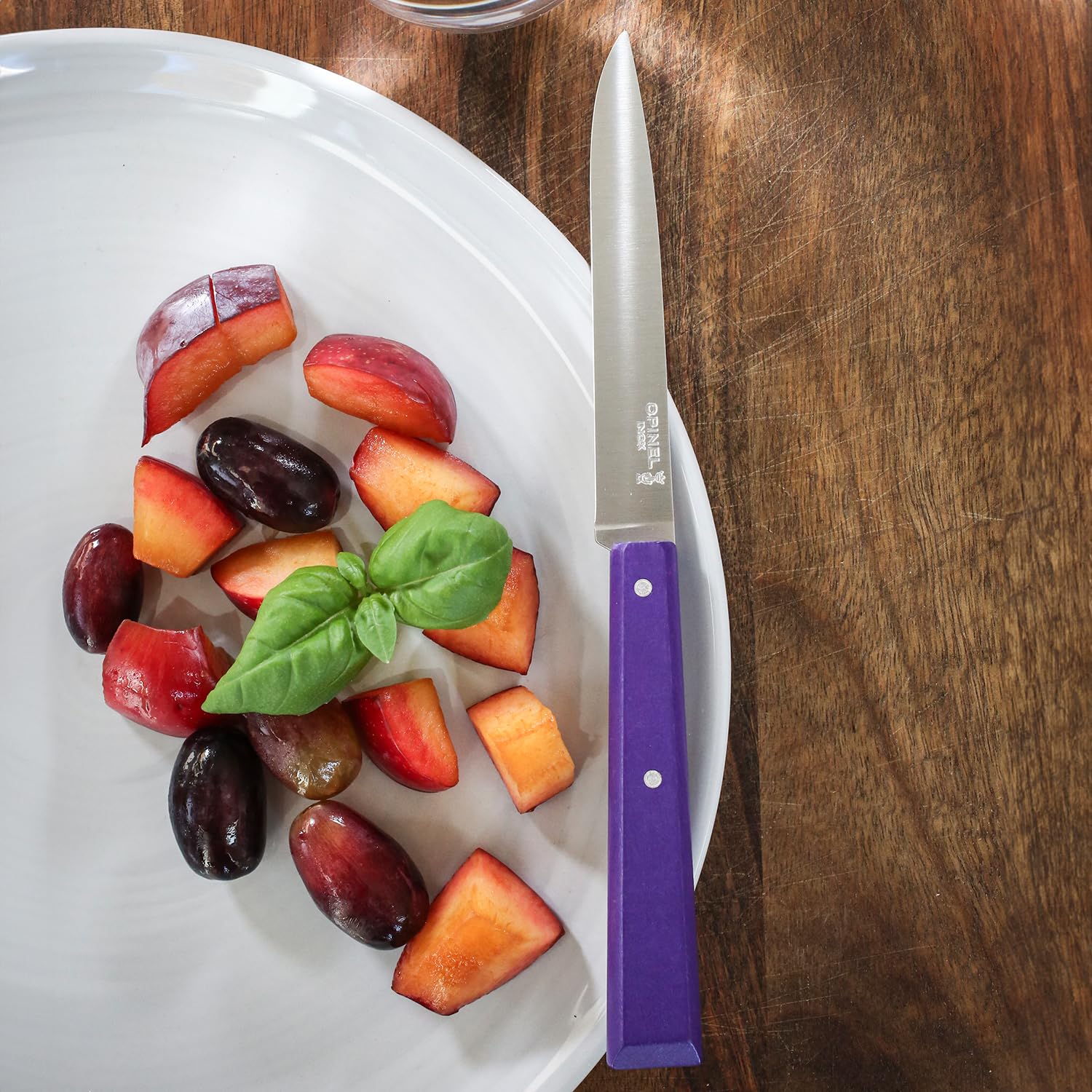 opinel-no-125-bon-appetit-steak-knife-set-of-4-painted-hornbeam-handles-12c27-st image 4