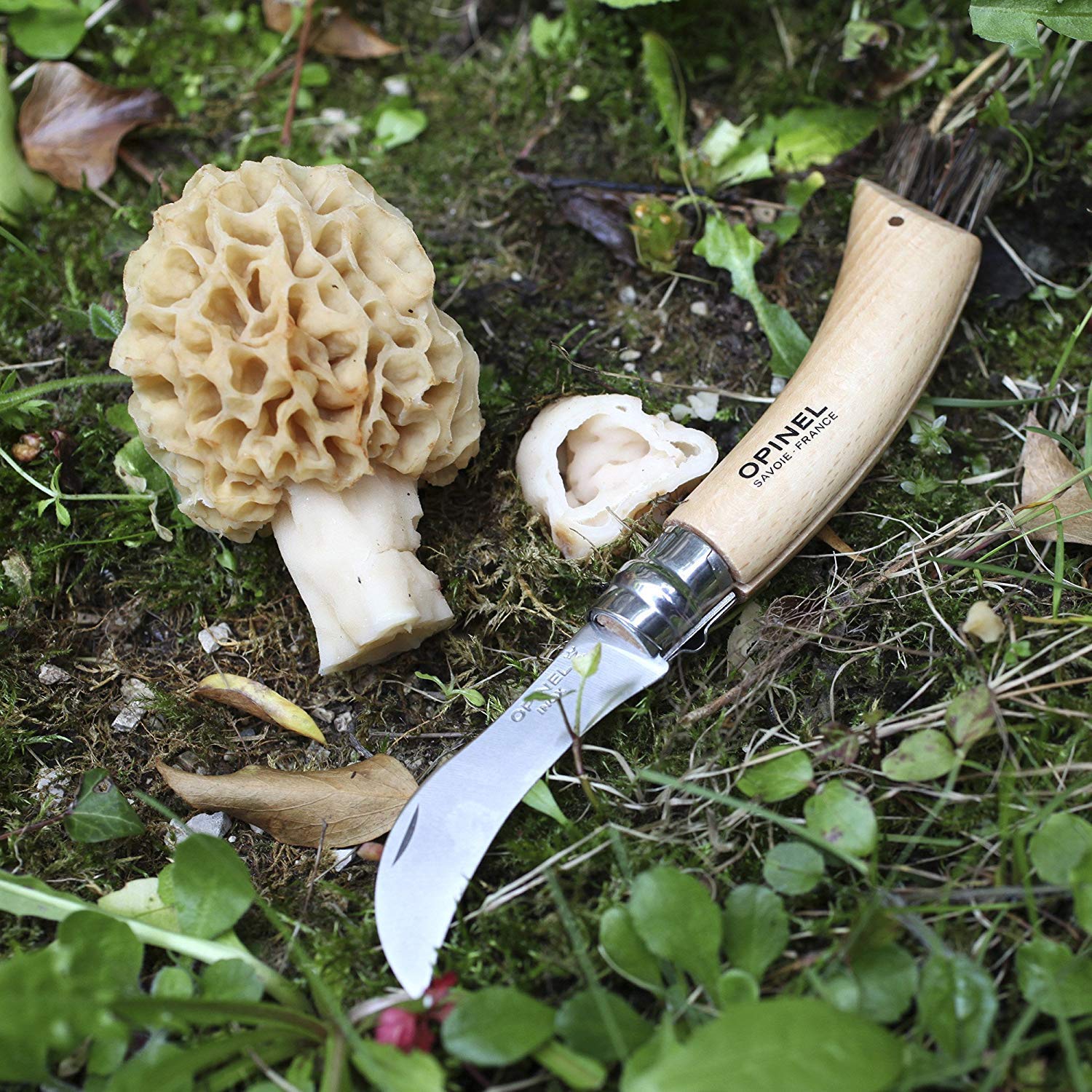 opinel-no-8-mushroom-folding-knife-gift-box-with-foraging-belt-sheath-and-boar-b image 6