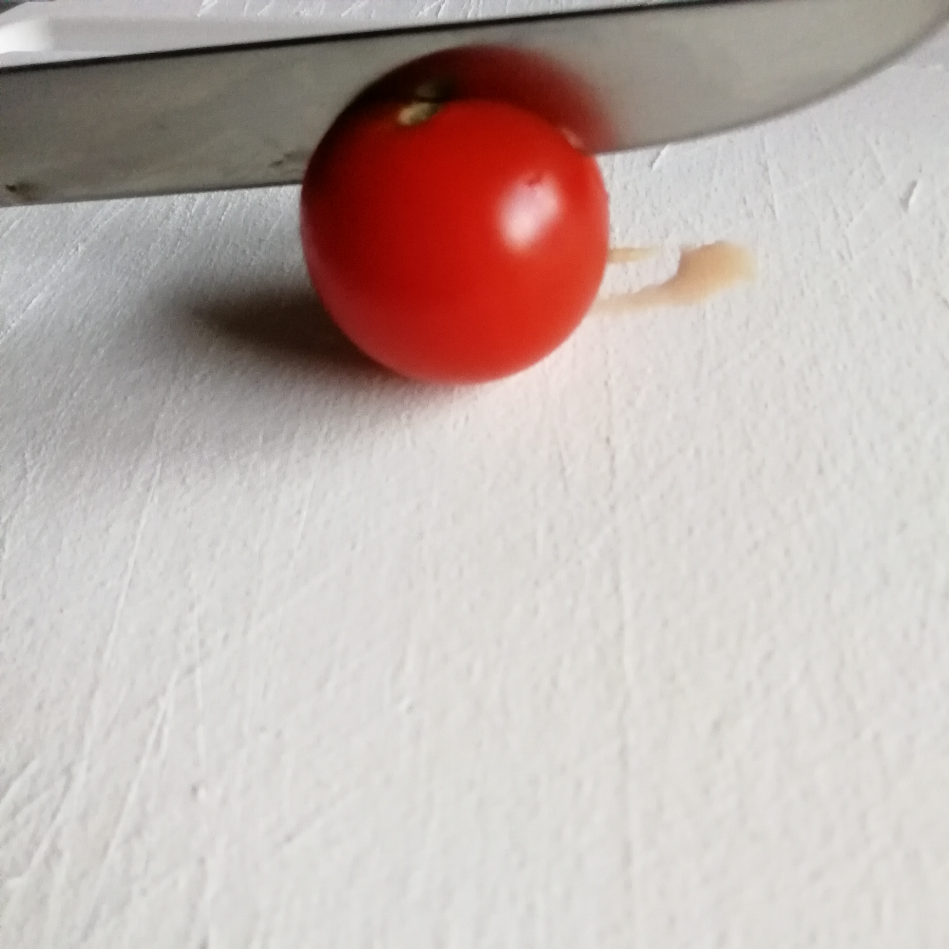 Great little knife