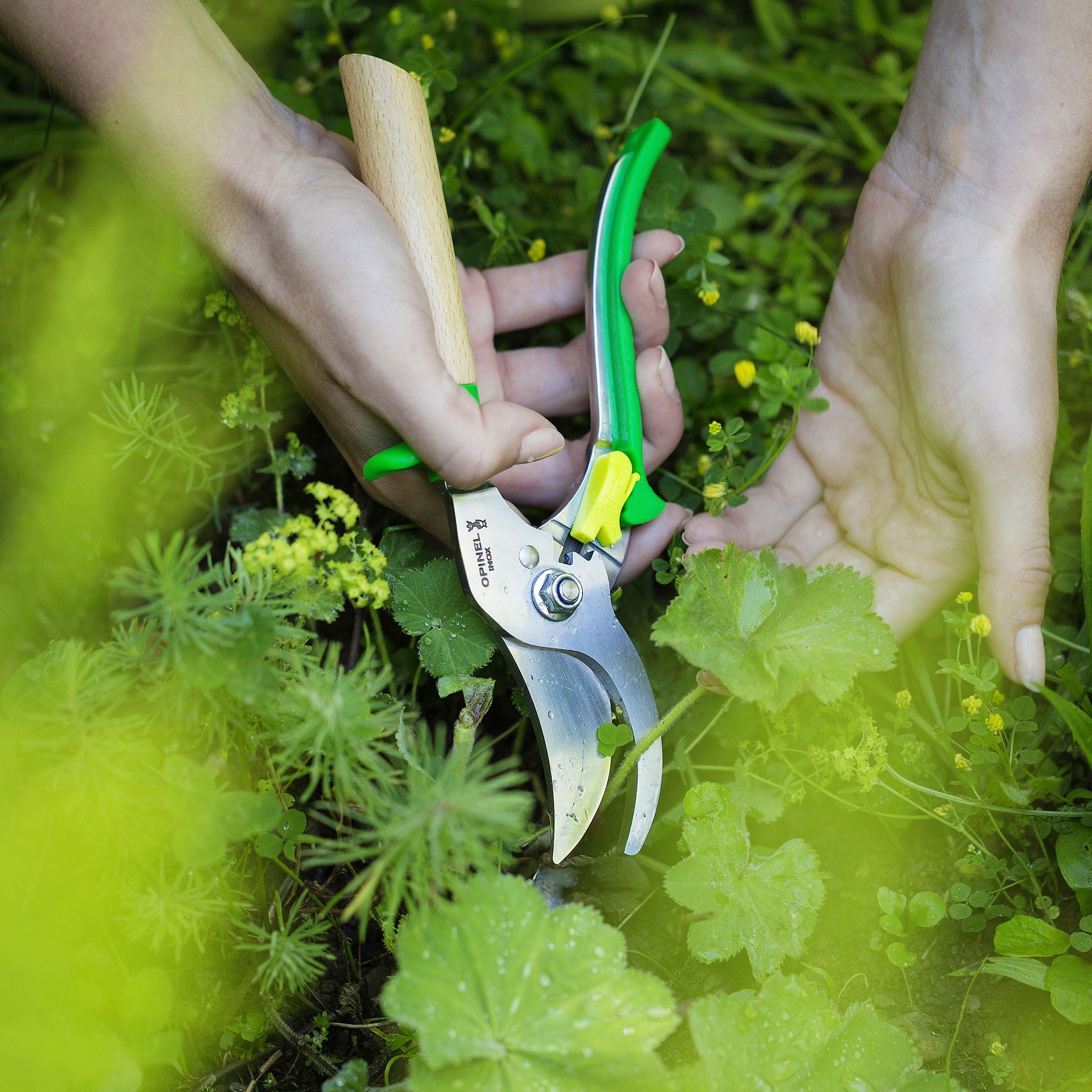 opinel-hand-pruners-3-position-stainless-steel-garden-pruning-shears image 4