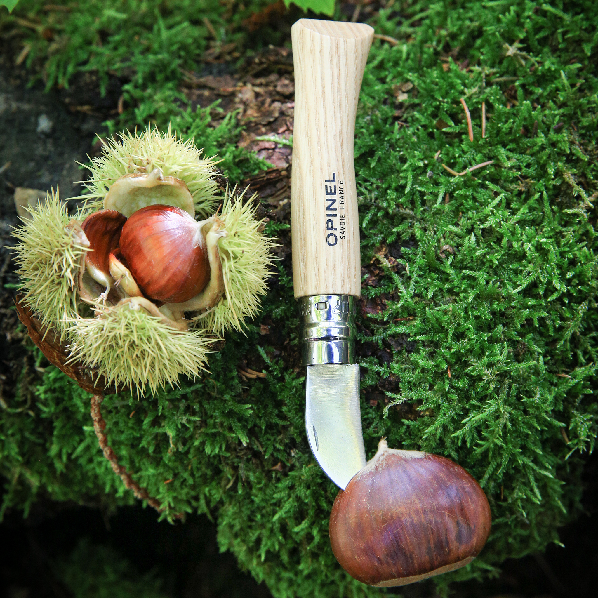 opinel-no-07-folding-scoring-knife-chestnut-garlic-knife-stainless-blade-beech-w image 5