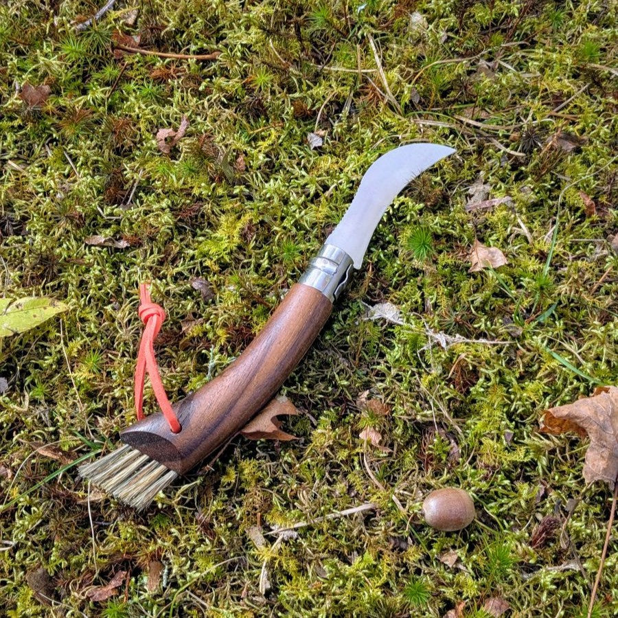 opinel-no-08-mushroom-knife-with-brush-black-walnut-handle-second-chance image 4