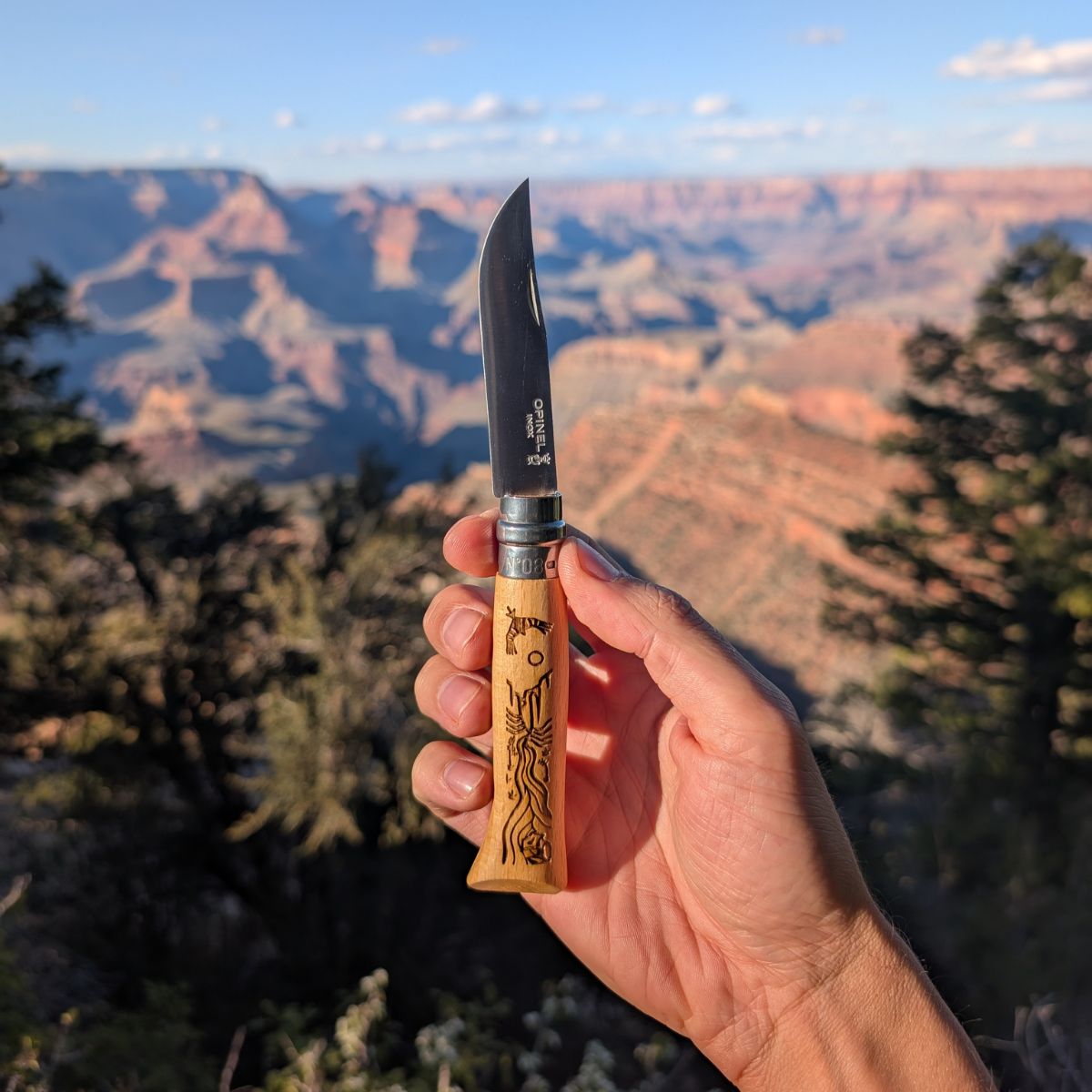 opinel-ultimate-national-parks-traveler-kit-no-08-folding-knife-and-wildsam-fiel image 5