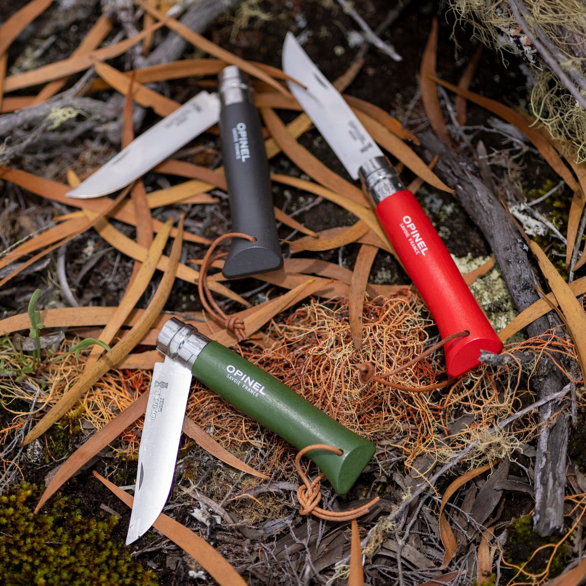 opinel-no-08-stainless-steel-folding-knife-with-lanyard-colorama-tinted-hornbeam image 2