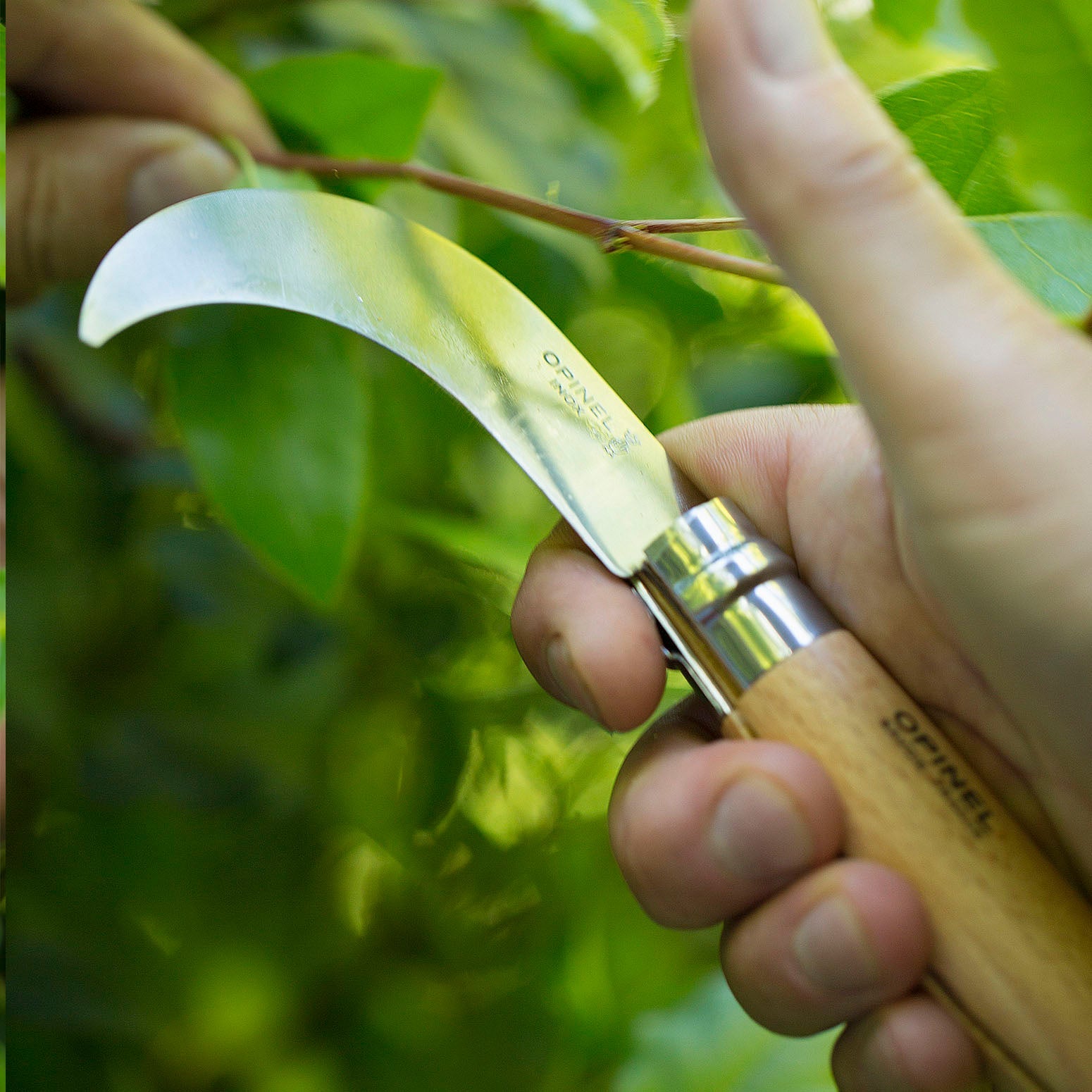 opinel-no-10-billhook-folding-knife-curved-double-bevel-blade-for-pruning-grape- image 2