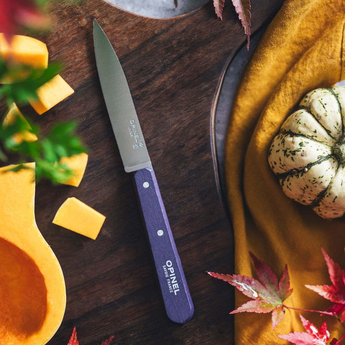 opinel-paring-knife-essential-paysage-color-set image 4