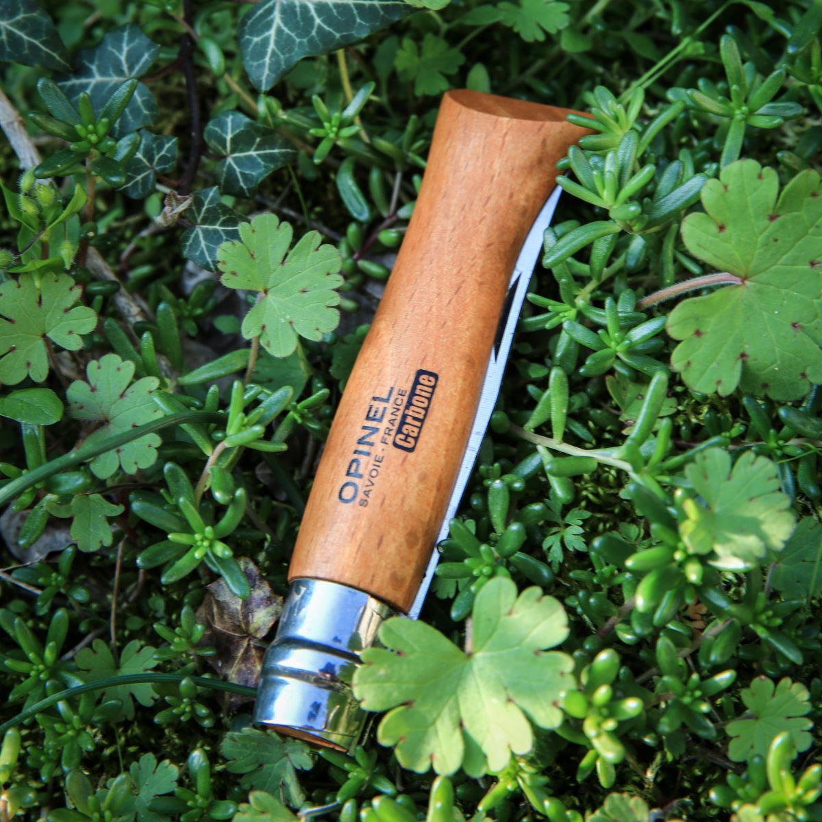 opinel-second-chance-no-12-carbon-steel-folding-knife-beechwood-handle-camping-r image 2