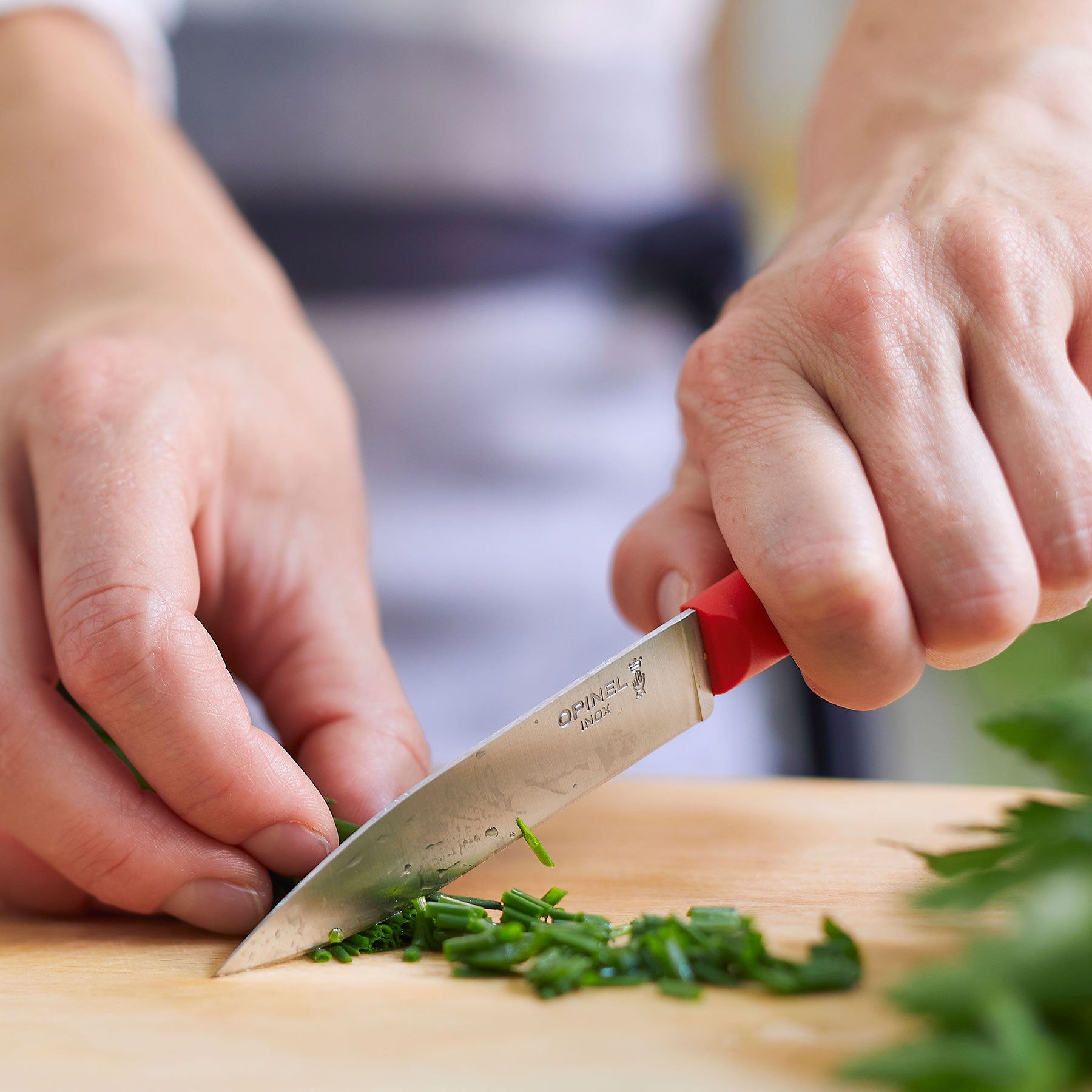 opinel-essential-paring-knife-4-in-stainless-steel-blade-dishwasher-safe-polymer image 2