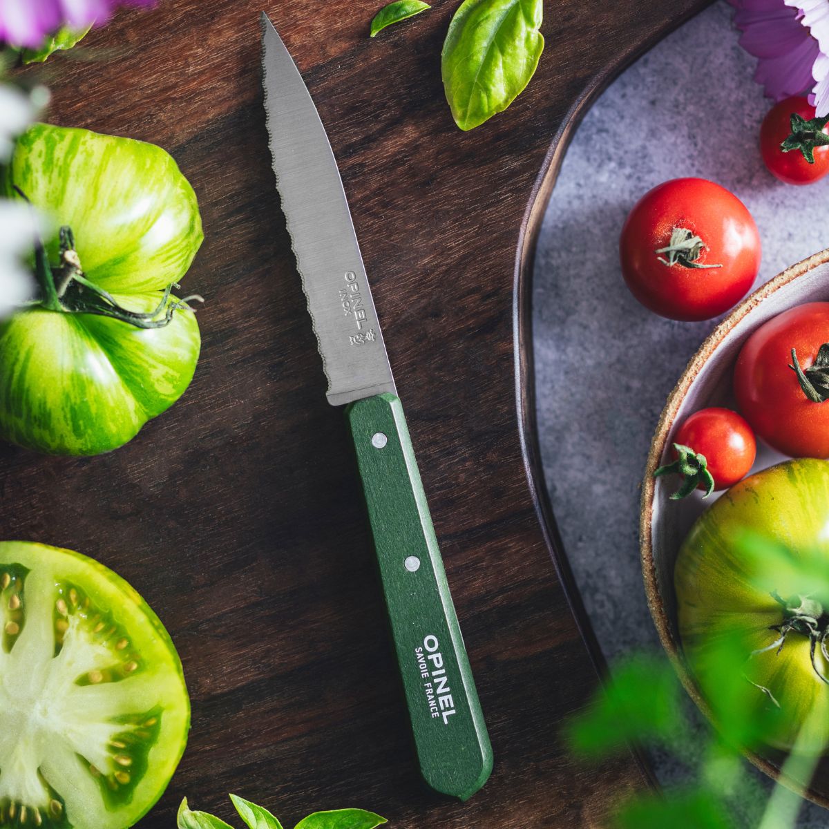 opinel-serrated-paring-knife-essential-paysage-color-set-kitchen-knife-with-serr image 4