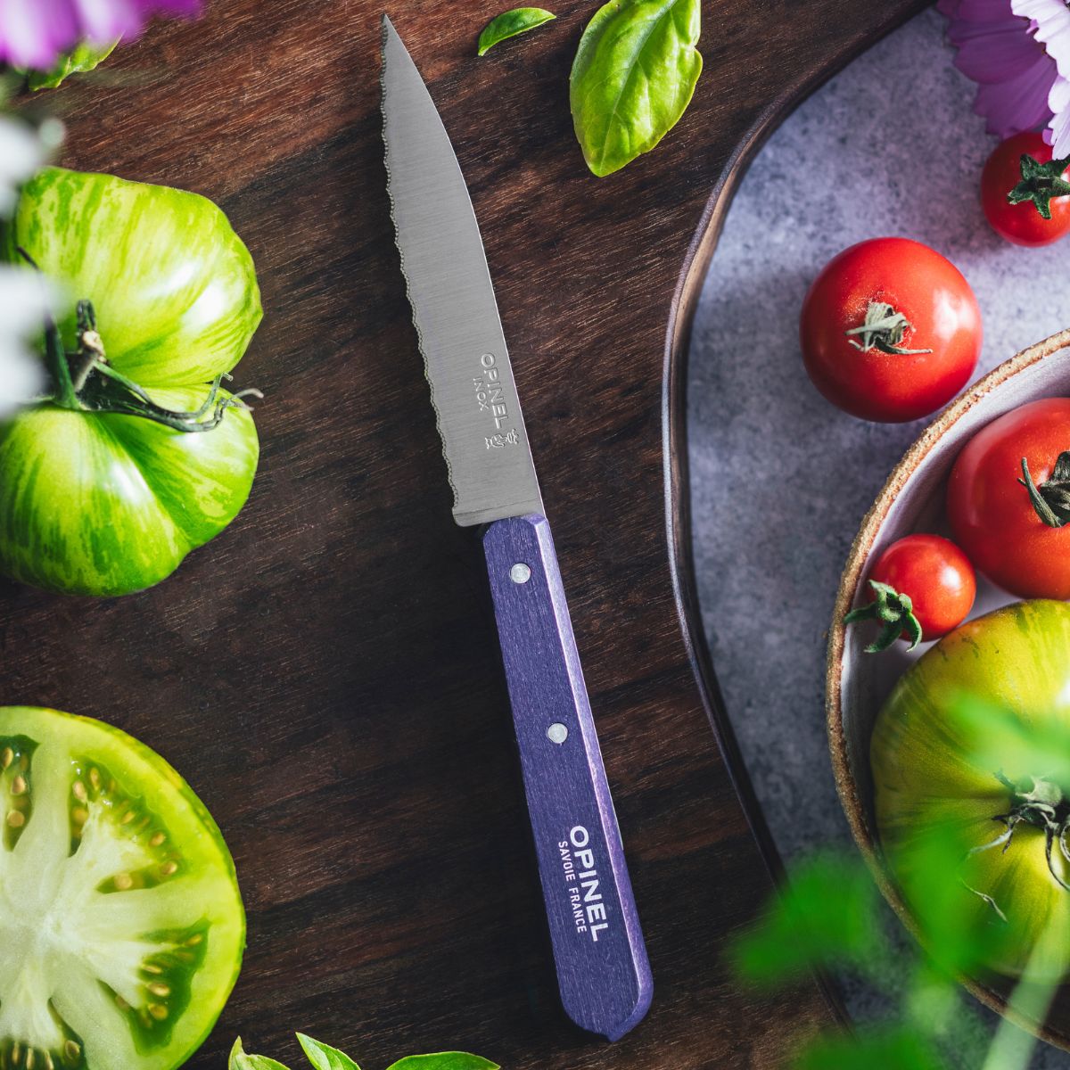 opinel-serrated-paring-knife-essential-paysage-color-set-kitchen-knife-with-serr image 5