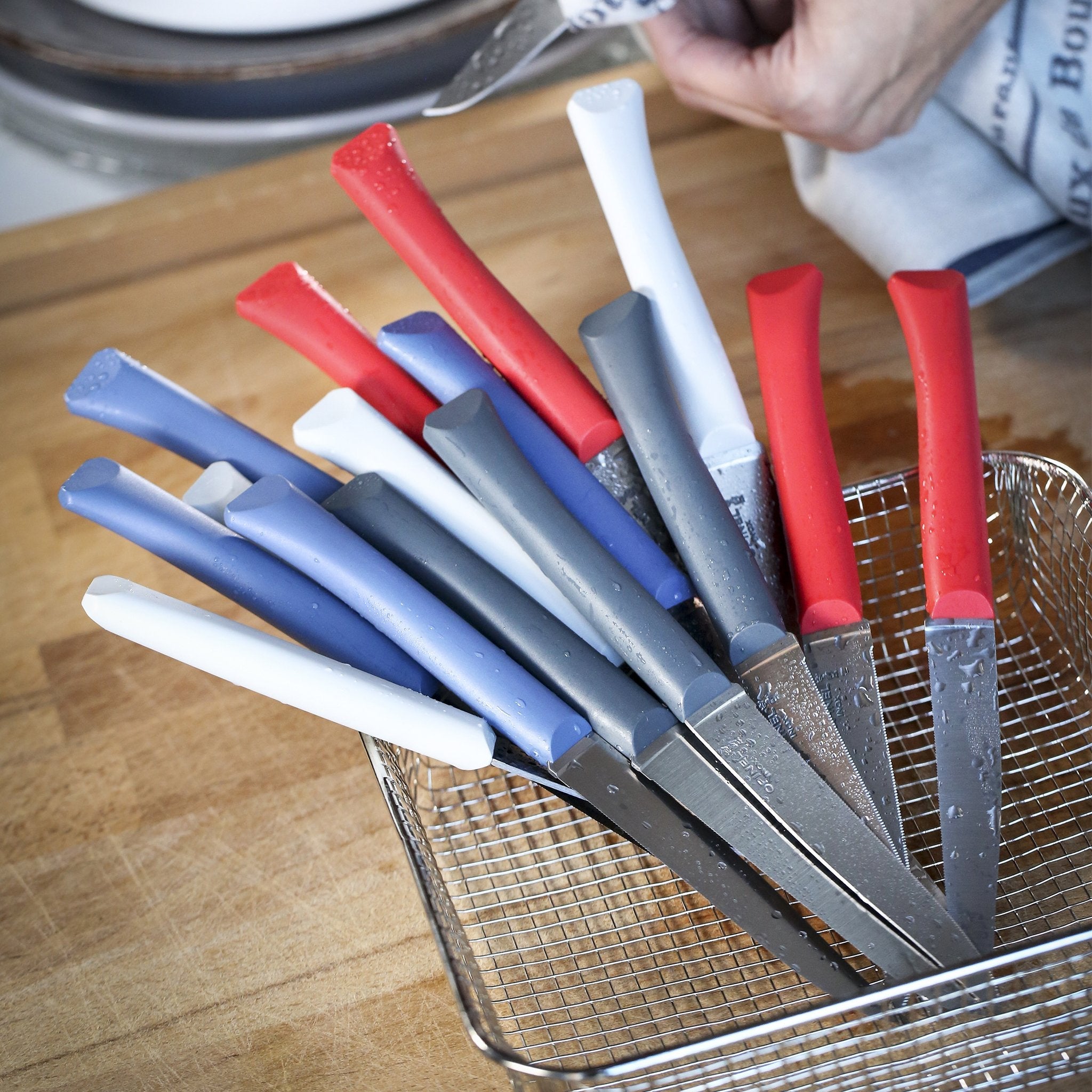 opinel-bon-app-tit-serrated-steak-knife-set-4-dishwasher-safe-knives-with-polyme image 5