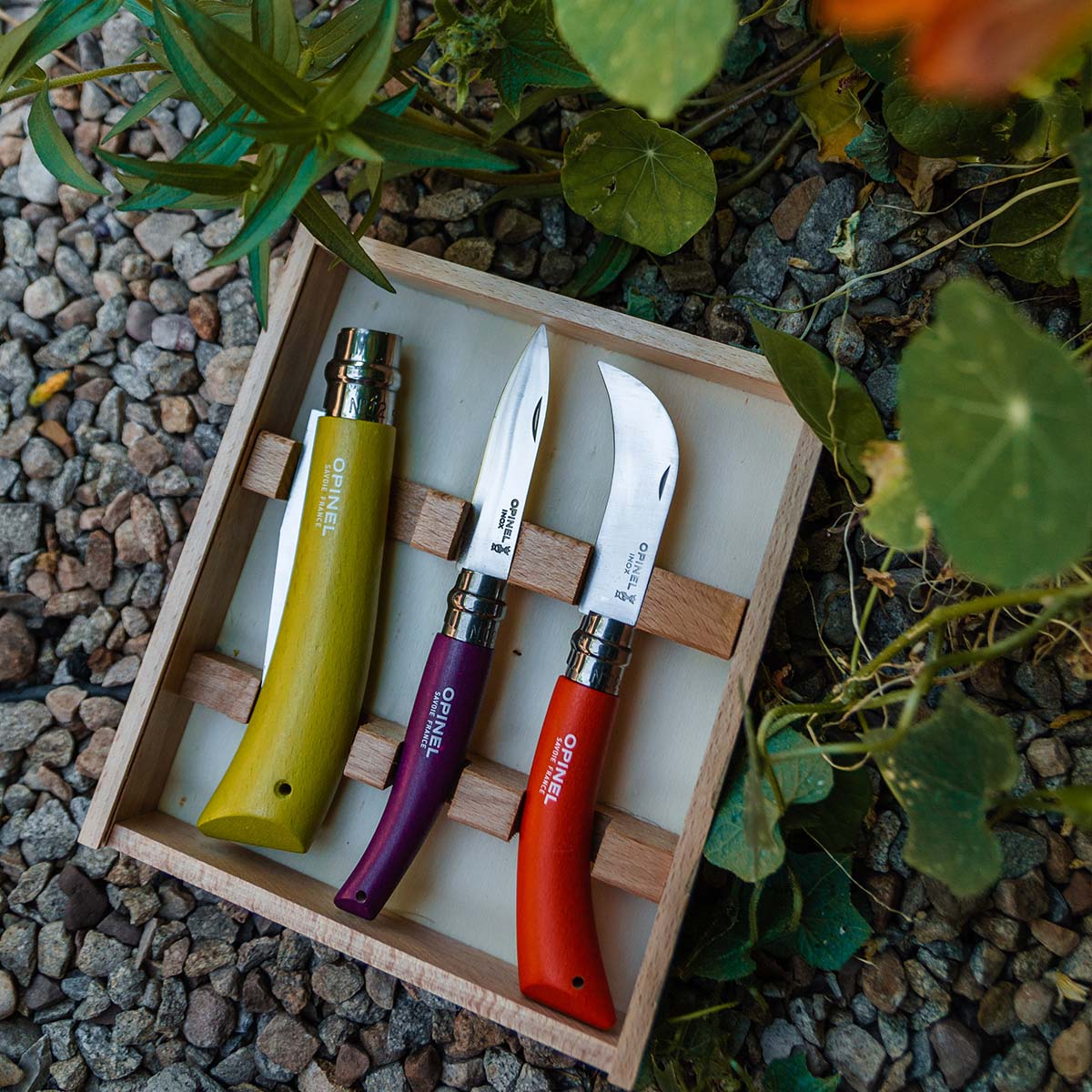 opinel-stainless-carbon-steel-garden-knife-trio-3-colors-no-12-folding-saw-no-08 image 2