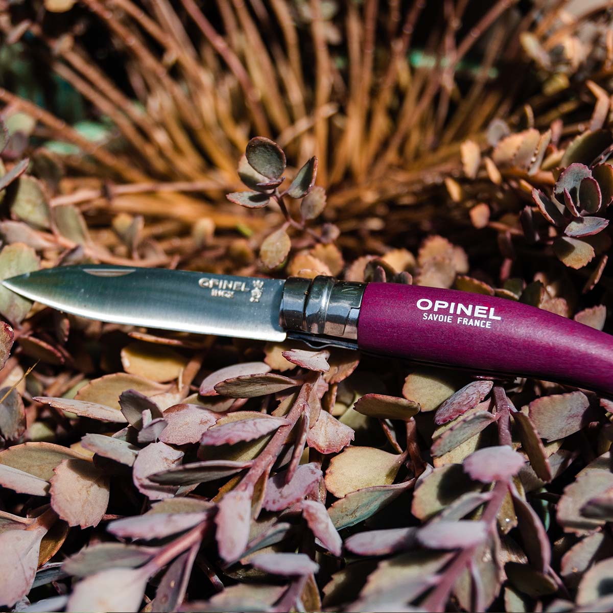opinel-stainless-carbon-steel-garden-knife-trio-3-colors-no-12-folding-saw-no-08 image 4