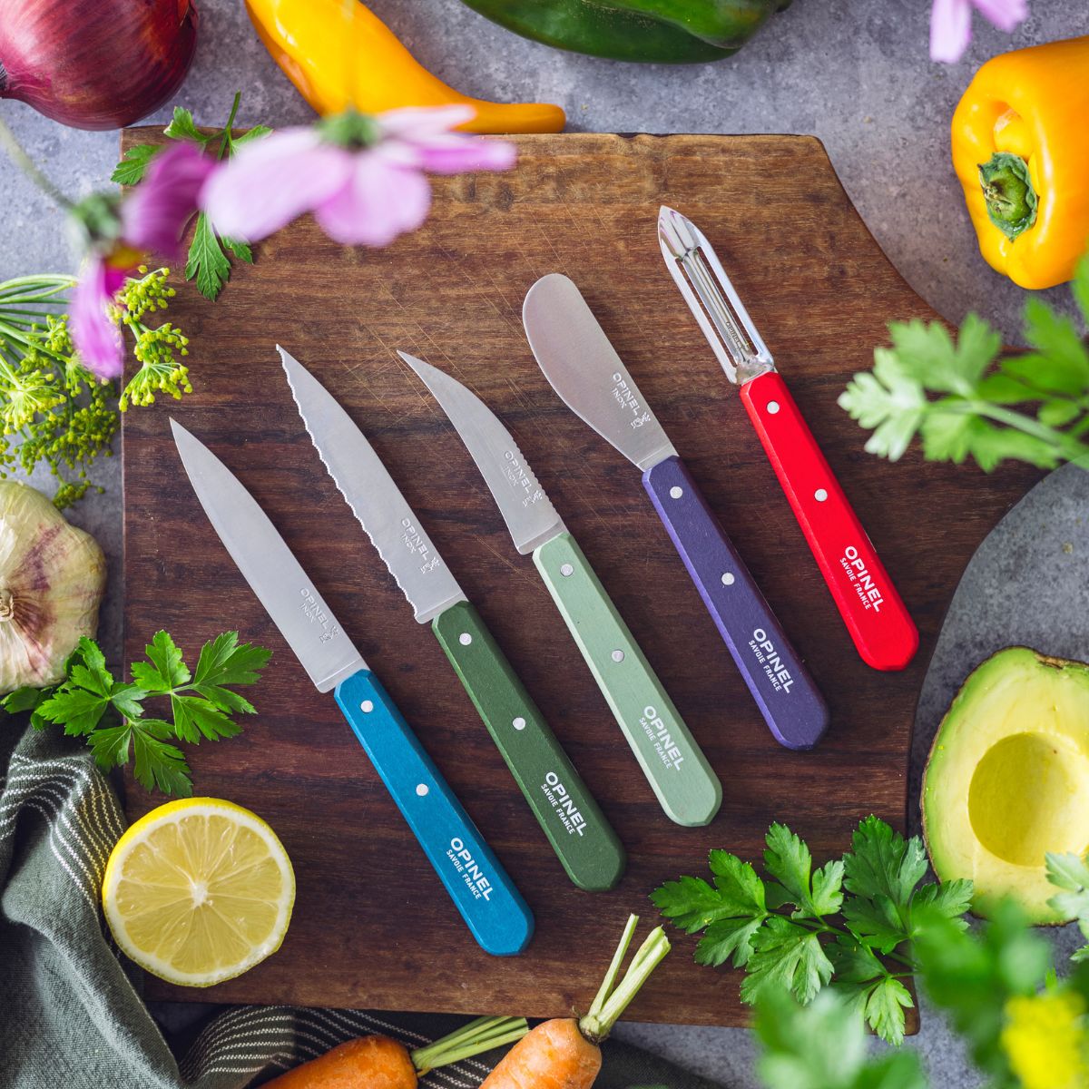 opinel-stationary-peeler-essential-paysage-color-set-2-5-stainless-blade-ambidex image 7