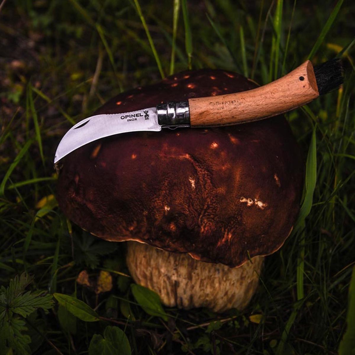opinel-surf-turf-kit-no-08-mushroom-foraging-knife-with-bristle-brush-no-09-oyst image 4